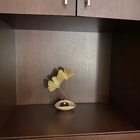 Opale With Terrace *